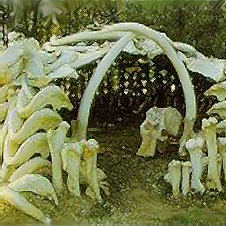 All that remained were the shelters, fifteen semi-circles of stacked mastodon skulls, too heavy to transport.