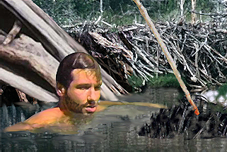 After a minute, his heart stopped its awful pounding and he gave the beaver a shake...turned it so that he could stare into its dull eyes...decided it was truly dead.