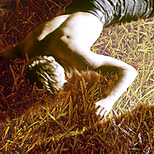 A third wallop to the back of his head turned the world black.