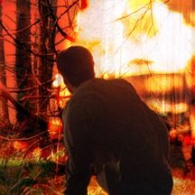 A wall of flames rose from the forest about 200 yards behind them.